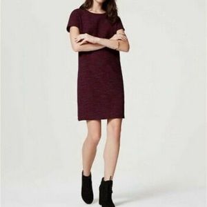 Loft Knit Dress
